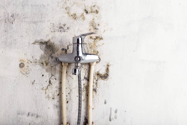 Best Post-Flood Mold Remediation in Mather, CA