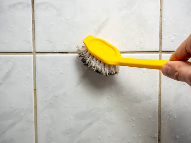 Best Kitchen Mold Remediation in Mather, CA