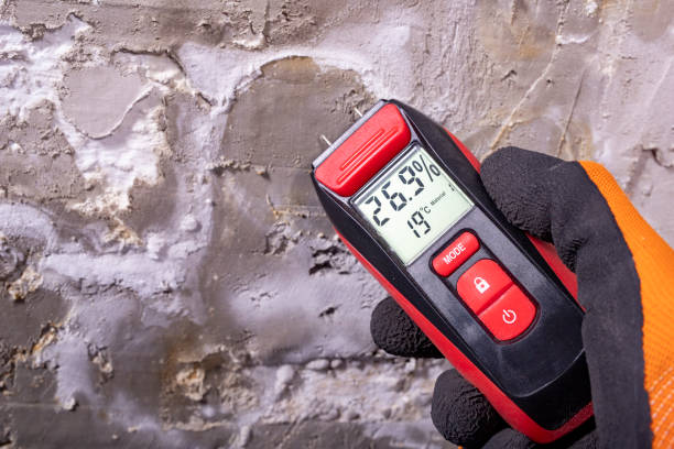 Best Emergency Mold Remediation in Mather, CA