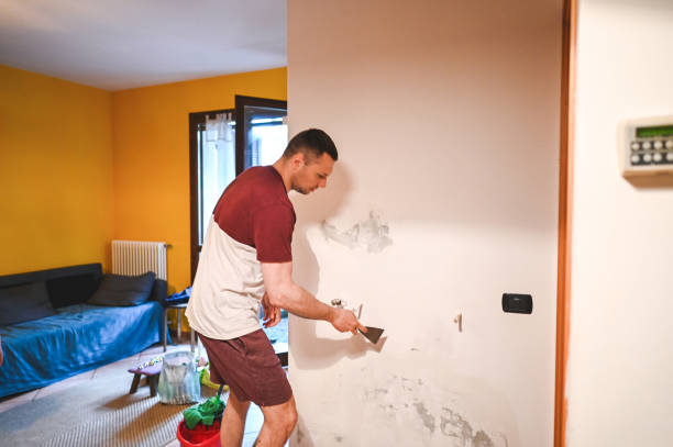 Best Black Mold Remediation in Mather, CA